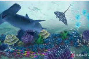 bt365官方体育电脑免费版