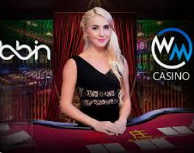 bt365官方体育2024最新版